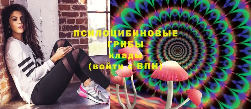 Галлюциногенные грибы Cubensis  OMG рабочий сайт  Гай 